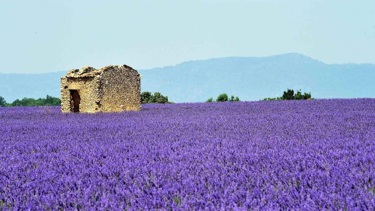 Naturiste Tikayan Petit Arlane Valensole
